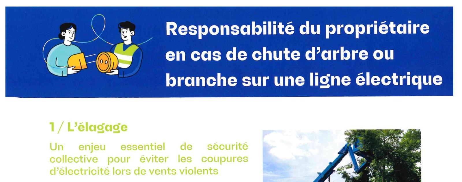 Responsabilités du propriétaire