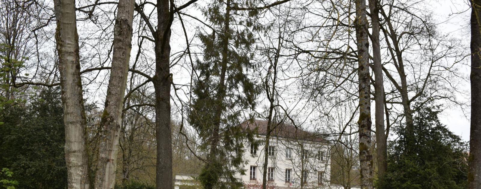 Compte-rendus du Conseil Municipal
