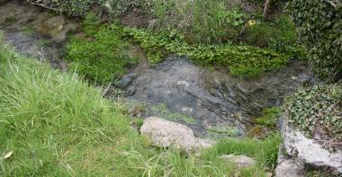 Ruisseau