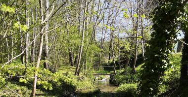Petit pont